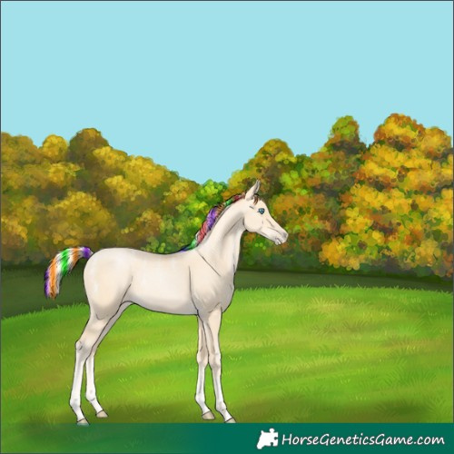 Horse Color:Powder White Painted Palomino Pearl 