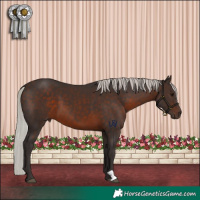 Horse Color:Silver Brown 