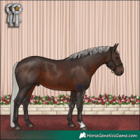 Horse Color:Silver Brown 