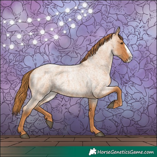 Horse Color:Red Roan Frame
