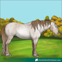 Horse Color:Gray Smoky Creme Roan 
