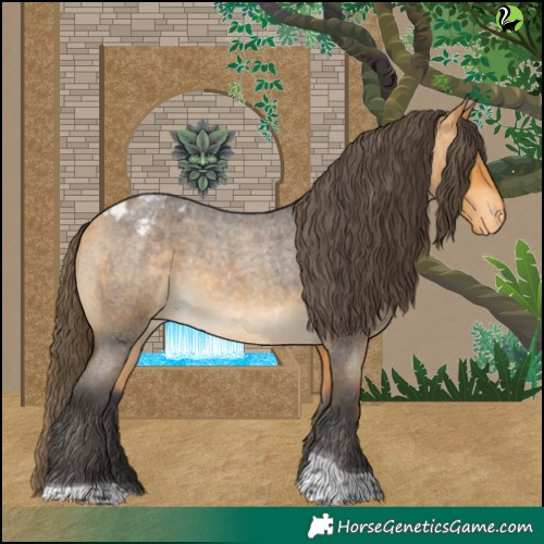 Horse Color:Buckskin Roan Tobiano Appaloosa