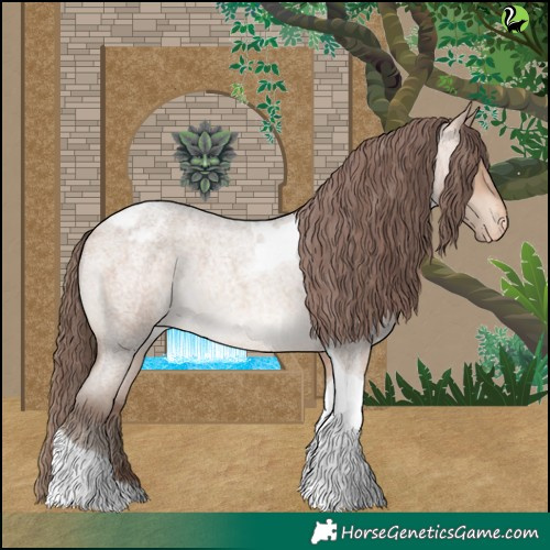Horse Color:Amber Champagne Roan Tobiano Appaloosa Rabicano 