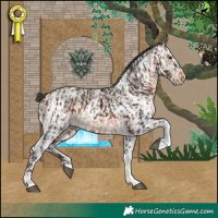 Horse Color:Brown Tobiano Snowflake Varnish and White Spotted Brown Dun Varnish