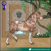 Horse Color:White Spotted Black Tobiano Snowflake Varnish and White Spotted Chestnut Tobiano Varnish