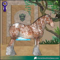 Horse Color:White Spotted Black Tobiano Snowflake Varnish  and White Spotted Chestnut Tobiano Varnish 