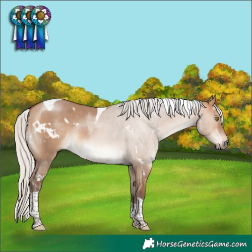 Horse Color:White Spotted Silver Bay Dun Tobiano Rabicano