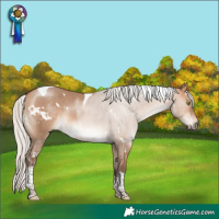 Horse Color:White Spotted Silver Bay Dun Tobiano Rabicano 