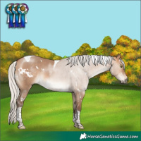 Horse Color:White Spotted Silver Bay Dun Tobiano Rabicano