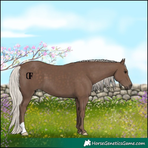 Horse Color:Silver Black 