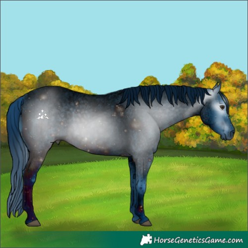 Horse Color:ERROR: UNKNOWN ANOMALY