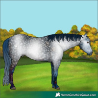 Horse Color:ERROR: UNKNOWN ANOMALY