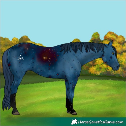 Horse Color:ERROR: UNKNOWN ANOMALY