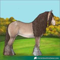 Horse Color:Amber Champagne Sabino Varnish