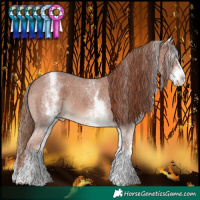 Horse Color:White Spotted Chestnut Sabino Varnish