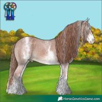 Horse Color:White Spotted Chestnut Sabino Appaloosa 