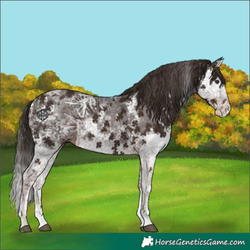 Horse Color:Liver Chestnut Ice Sabino Splash and Liver Chestnut Sabino Splash