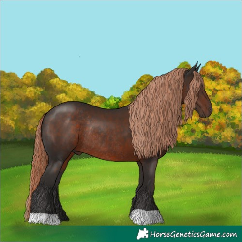 Horse Color:Liver Chestnut Rabicano 