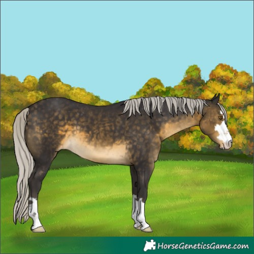 Horse Color:Silver Buckskin Varnish 