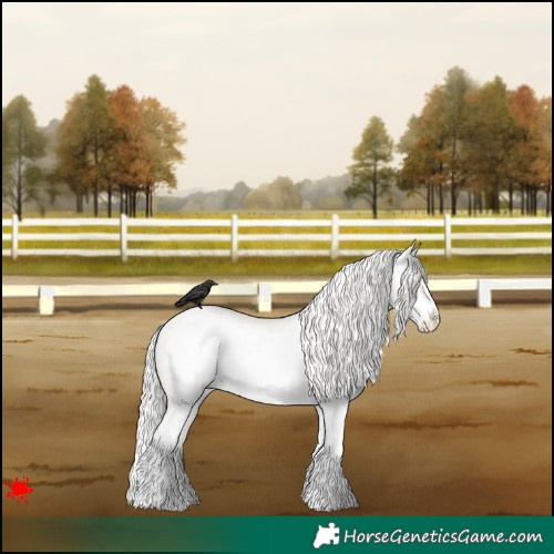 Horse Color:Cremello Dun Sabino Splash Frame Appaloosa