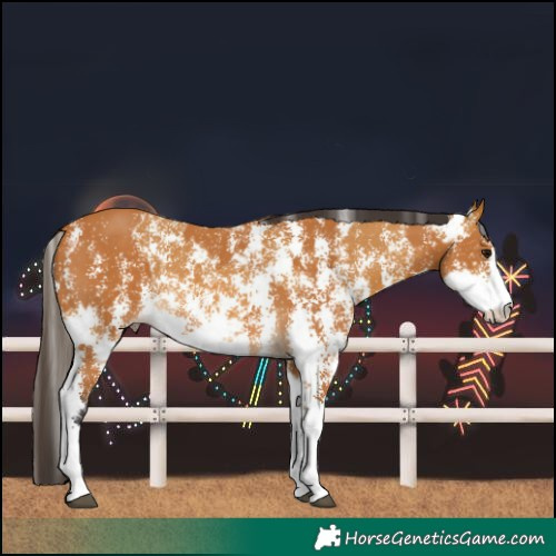Horse Color:Buckskin Sabino Rabicano  and Buckskin Sabino Rabicano 