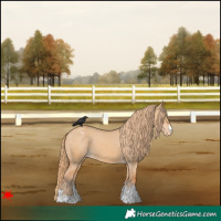 Horse Color:Red Dun Varnish 