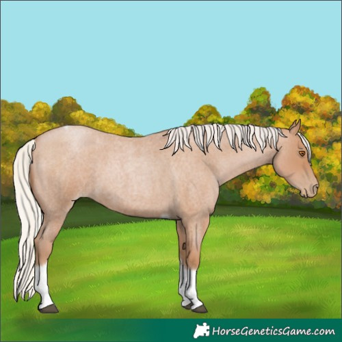 Horse Color:Silver Blue Roan Pearl Tobiano Frame 