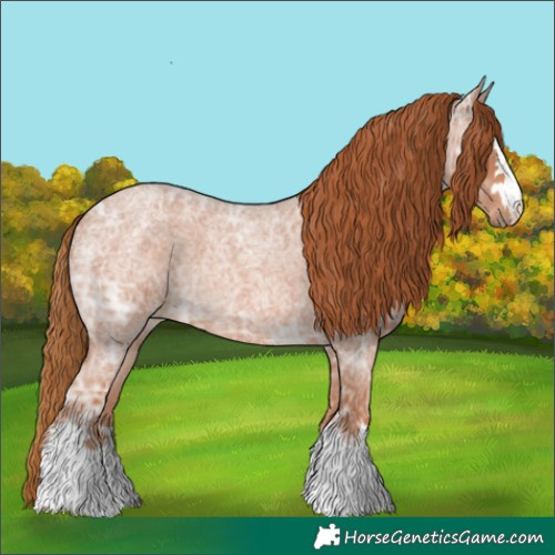 Horse Color:Red Ice Roan 