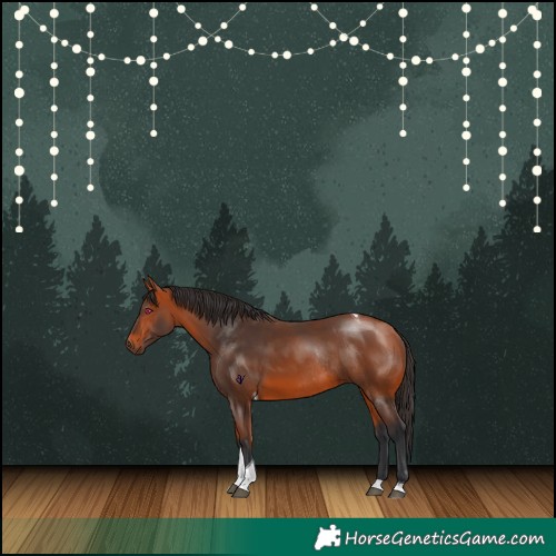 Horse Color:Bay Tobiano Rabicano