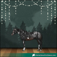 Horse Color:Powder White Gray White Spotted Brown Rabicano
