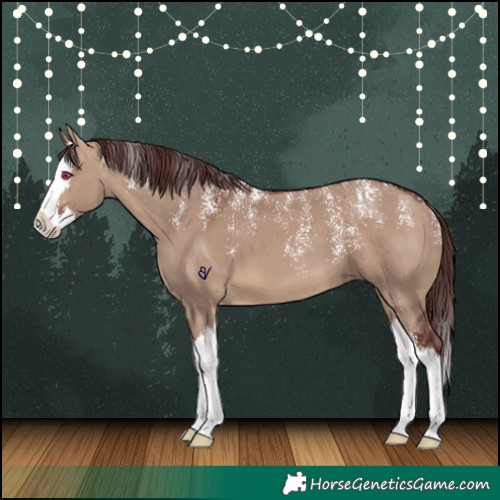 Horse Color:Powder White Chocolate Brown Dun Splash