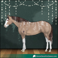 Horse Color:Powder White Chocolate Brown Dun Splash 