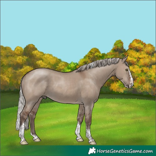 Horse Color:Silver Grullo Splash Tobiano Rabicano 