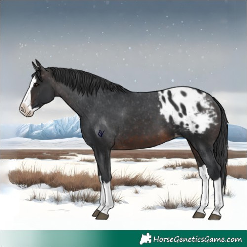 Horse Color:Brown Splash Blanket 