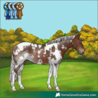 Horse Color:White Spotted Silver Brown Tobiano Rabicano 