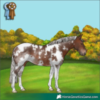 Horse Color:White Spotted Silver Brown Tobiano Rabicano