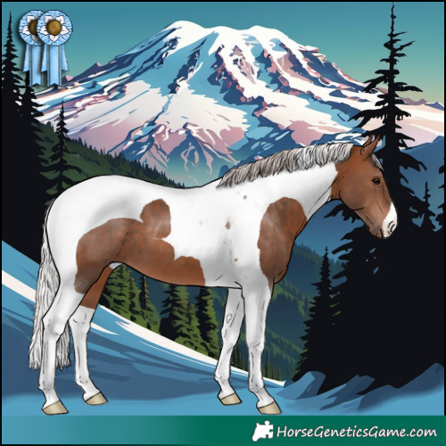 Horse Color:Silver Brown Tobiano 