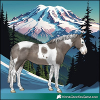 Horse Color:Silver Black Splash Tobiano