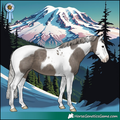 Horse Color:Silver Black Splash Tobiano 