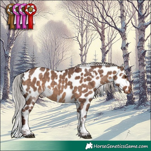 Horse Color:White Spotted Chocolate Silver Brown Dun Tobiano Skewed LP Spotted 