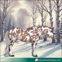 Horse Color:White Spotted Chocolate Silver Brown Dun Tobiano Skewed Appaloosa 