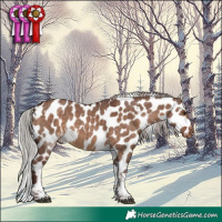 Horse Color:White Spotted Chocolate Silver Brown Dun Tobiano Skewed Appaloosa 
