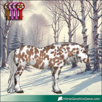 Horse Color:White Spotted Chocolate Silver Brown Dun Tobiano Skewed LP Spotted 
