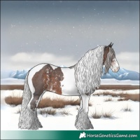 Horse Color:Silver Brown Sabino Tobiano Skewed LP Spotted
