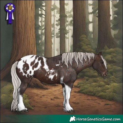 Horse Color:Silver Brown Tobiano Appaloosa
