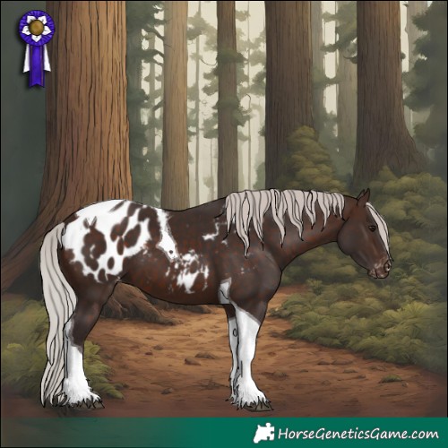 Horse Color:Silver Brown Tobiano Appaloosa 
