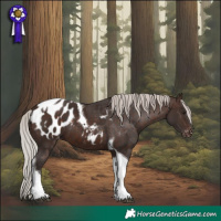 Horse Color:Silver Brown Tobiano Appaloosa