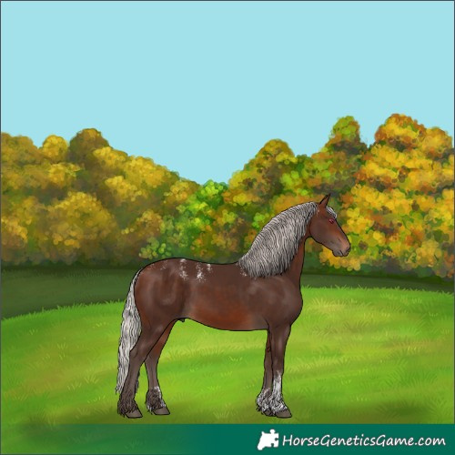 Horse Color:Powder White Silver Brown Rabicano