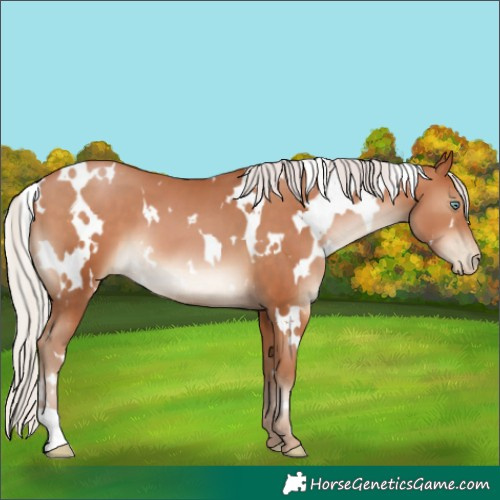 Horse Color:White Spotted Silver Brown Pearl 