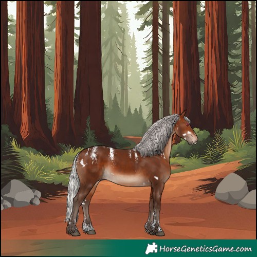 Horse Color:Powder White White Spotted Silver Brown Rabicano 